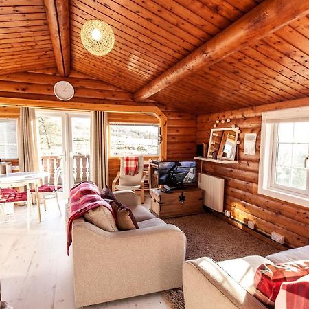 Welsh Retreat 2 Bedroom Log Cabin - Seren Property Trawsfynydd 외부 사진