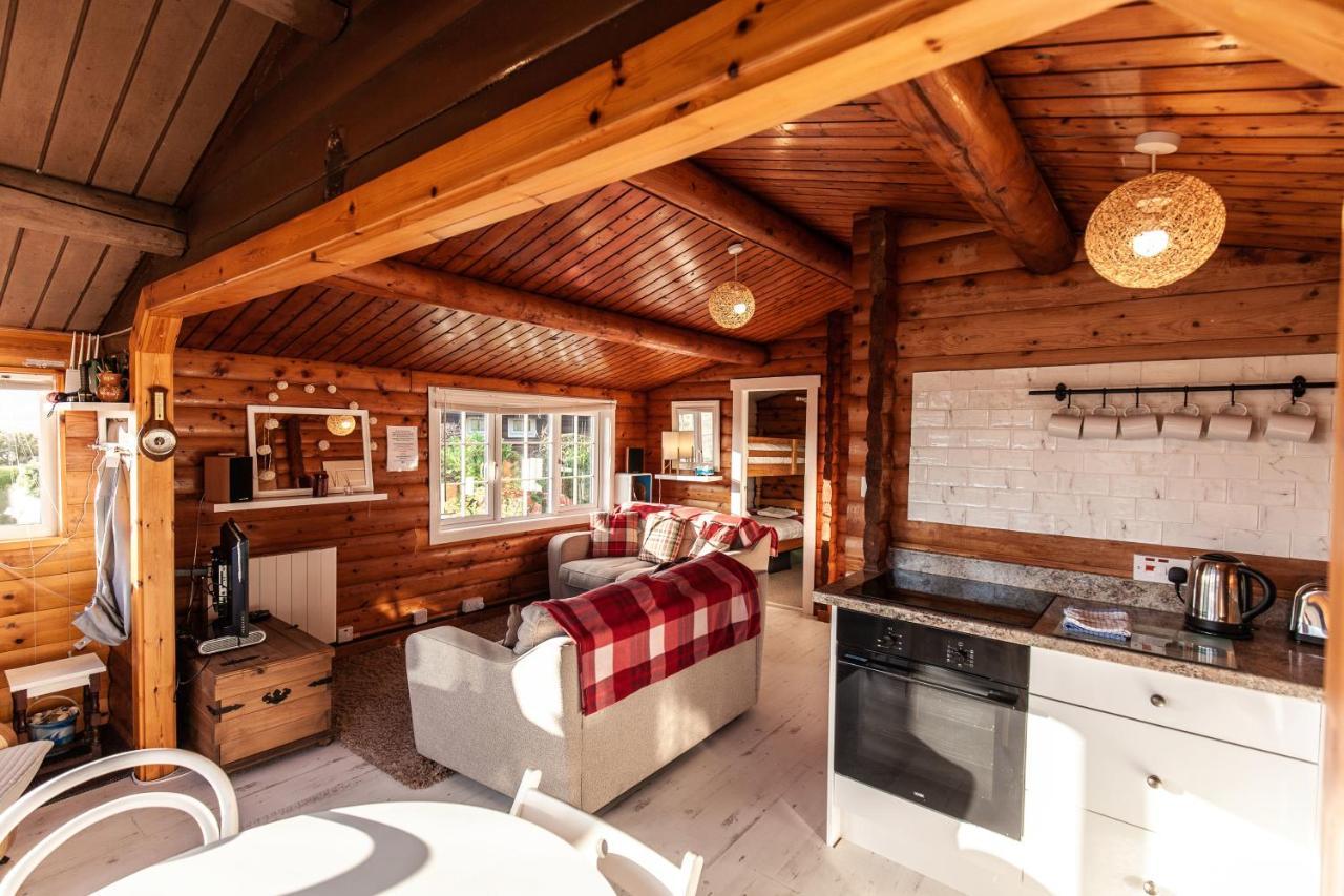 Welsh Retreat 2 Bedroom Log Cabin - Seren Property Trawsfynydd 외부 사진