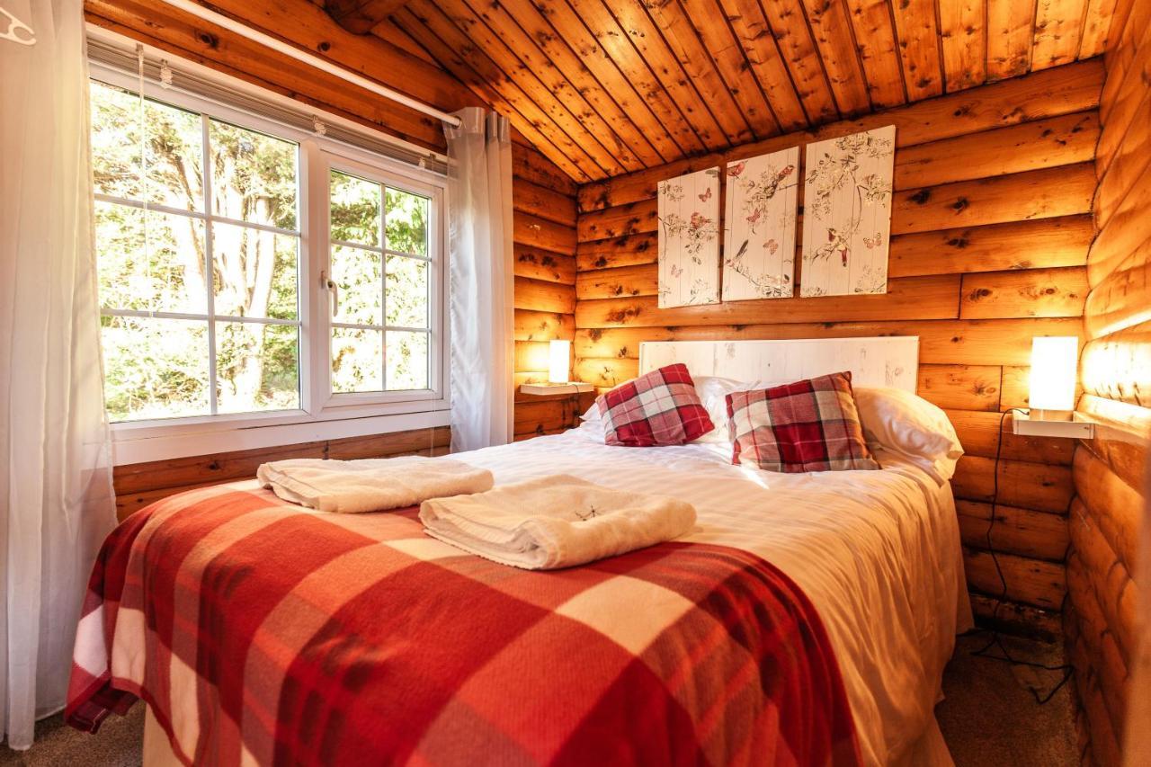 Welsh Retreat 2 Bedroom Log Cabin - Seren Property Trawsfynydd 외부 사진