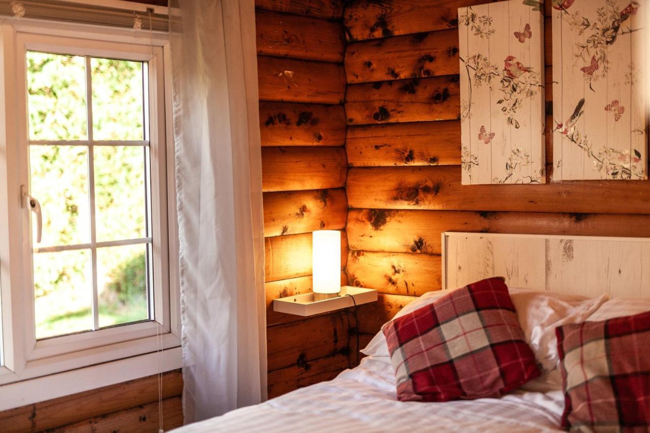 Welsh Retreat 2 Bedroom Log Cabin - Seren Property Trawsfynydd 외부 사진