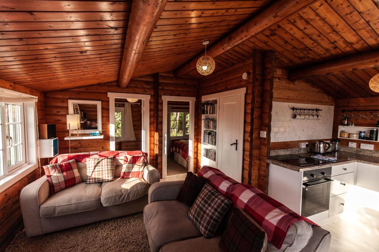 Welsh Retreat 2 Bedroom Log Cabin - Seren Property Trawsfynydd 외부 사진